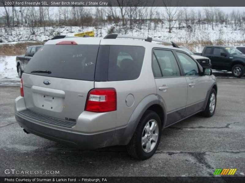 Silver Birch Metallic / Shale Grey 2007 Ford Freestyle SEL