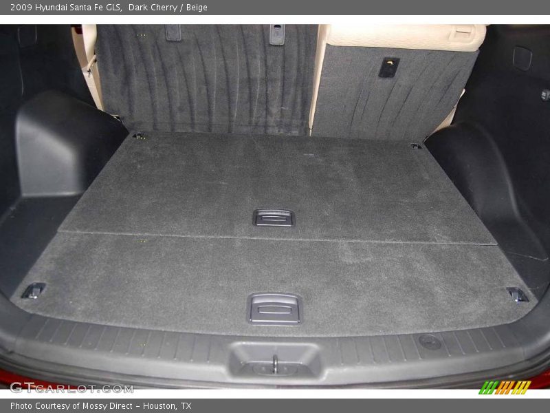 Dark Cherry / Beige 2009 Hyundai Santa Fe GLS