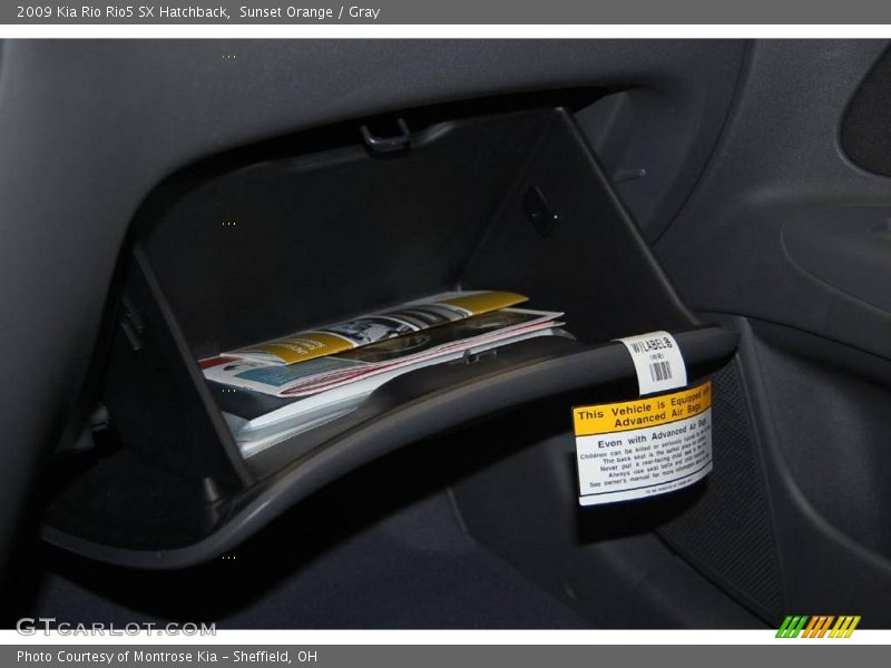 Sunset Orange / Gray 2009 Kia Rio Rio5 SX Hatchback