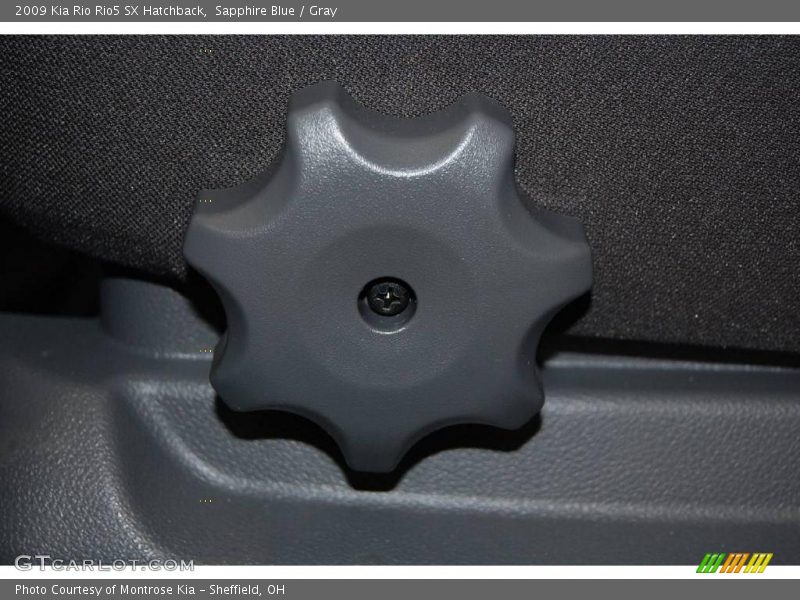 Sapphire Blue / Gray 2009 Kia Rio Rio5 SX Hatchback