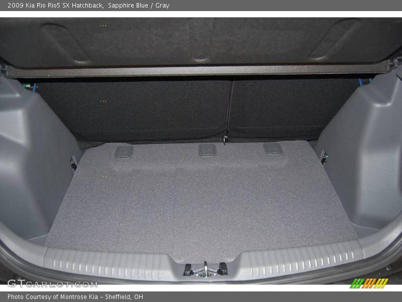 Sapphire Blue / Gray 2009 Kia Rio Rio5 SX Hatchback