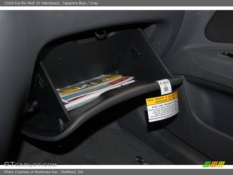 Sapphire Blue / Gray 2009 Kia Rio Rio5 SX Hatchback