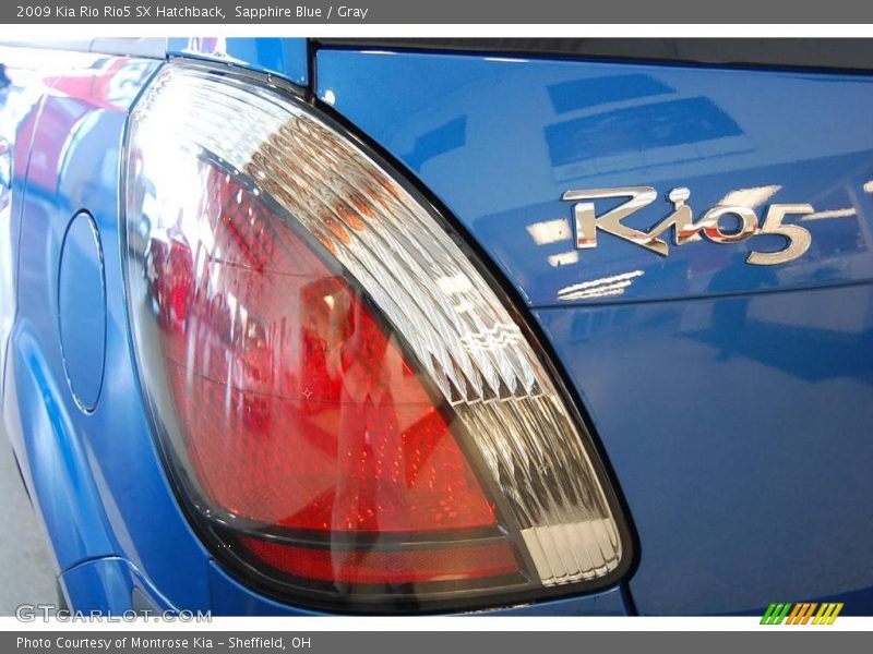 Sapphire Blue / Gray 2009 Kia Rio Rio5 SX Hatchback