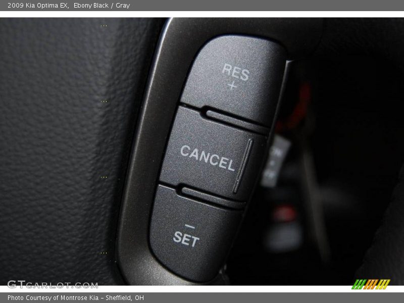 Ebony Black / Gray 2009 Kia Optima EX