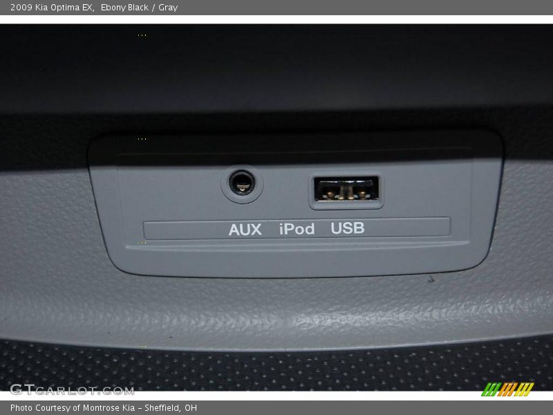 Ebony Black / Gray 2009 Kia Optima EX