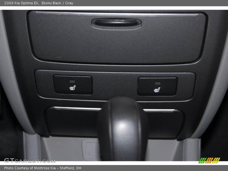 Ebony Black / Gray 2009 Kia Optima EX