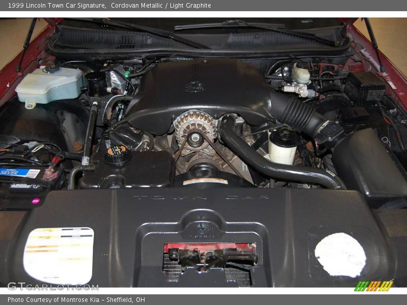 Cordovan Metallic / Light Graphite 1999 Lincoln Town Car Signature