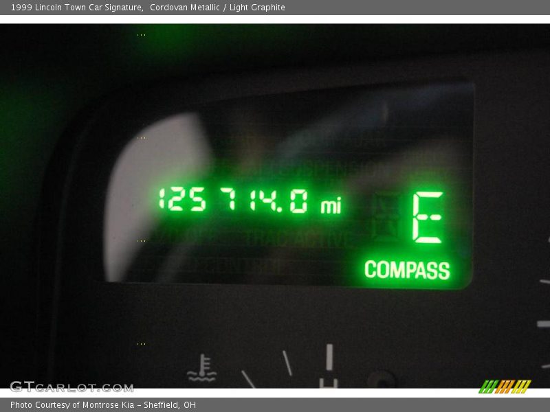 Cordovan Metallic / Light Graphite 1999 Lincoln Town Car Signature