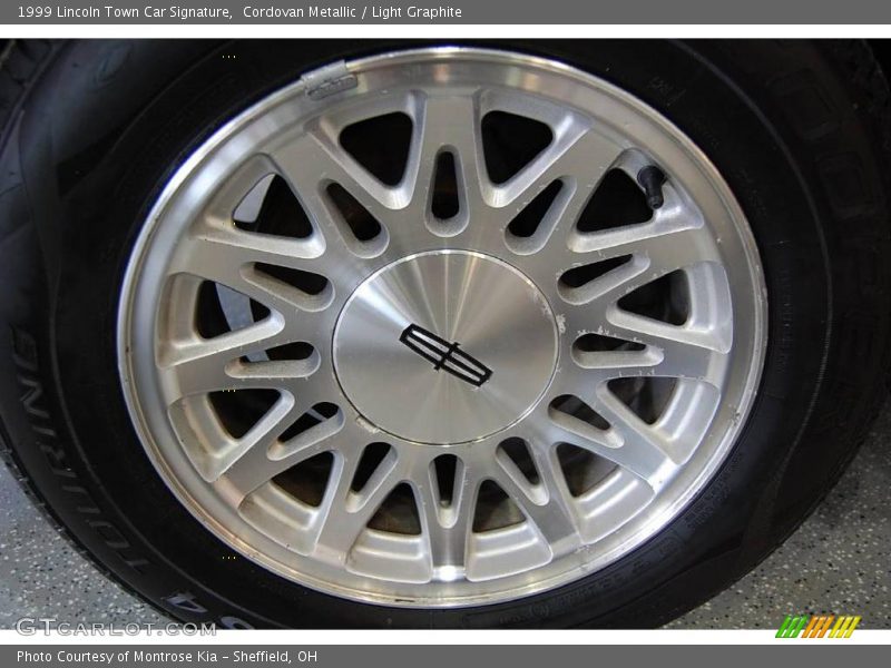 Cordovan Metallic / Light Graphite 1999 Lincoln Town Car Signature