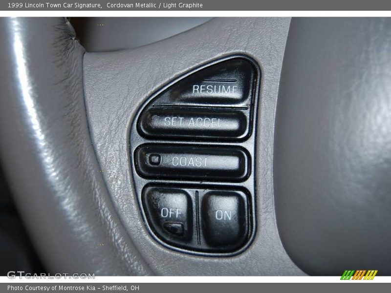 Cordovan Metallic / Light Graphite 1999 Lincoln Town Car Signature