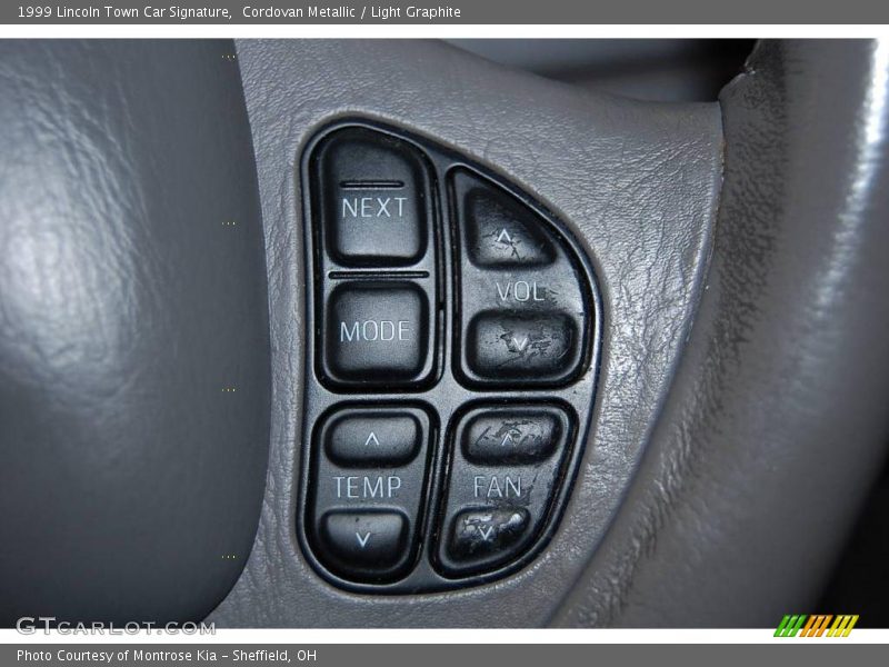 Cordovan Metallic / Light Graphite 1999 Lincoln Town Car Signature