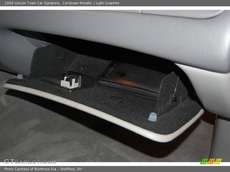 Cordovan Metallic / Light Graphite 1999 Lincoln Town Car Signature