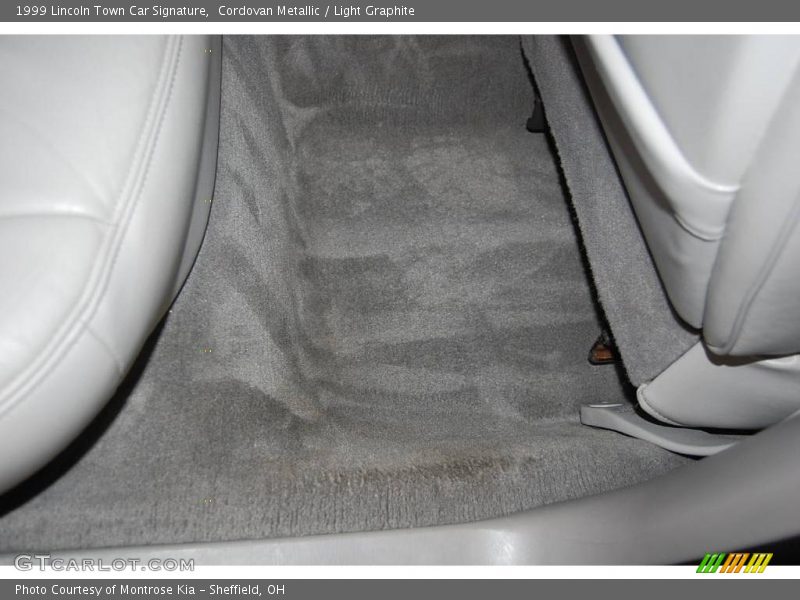 Cordovan Metallic / Light Graphite 1999 Lincoln Town Car Signature