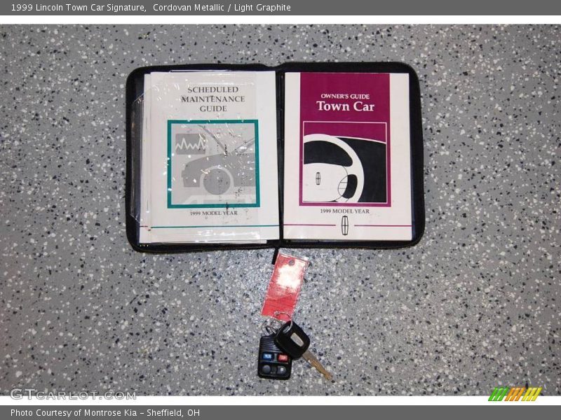 Cordovan Metallic / Light Graphite 1999 Lincoln Town Car Signature