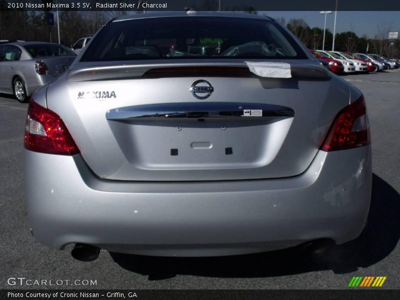 Radiant Silver / Charcoal 2010 Nissan Maxima 3.5 SV