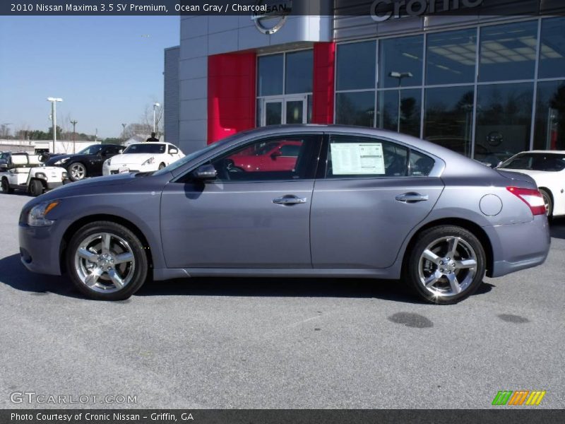 Ocean Gray / Charcoal 2010 Nissan Maxima 3.5 SV Premium