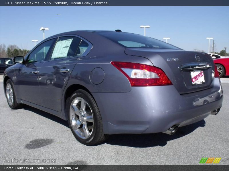 Ocean Gray / Charcoal 2010 Nissan Maxima 3.5 SV Premium