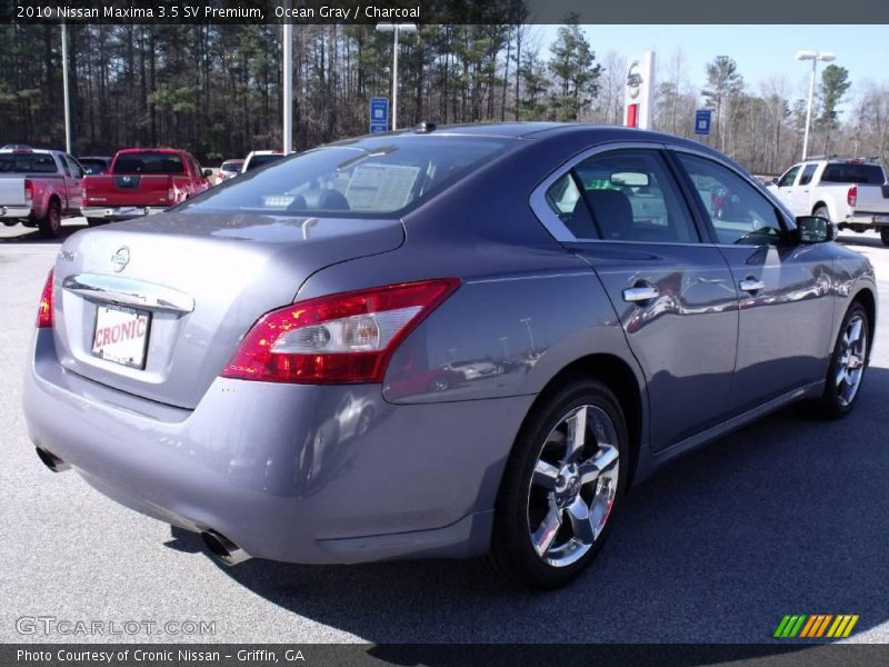 Ocean Gray / Charcoal 2010 Nissan Maxima 3.5 SV Premium