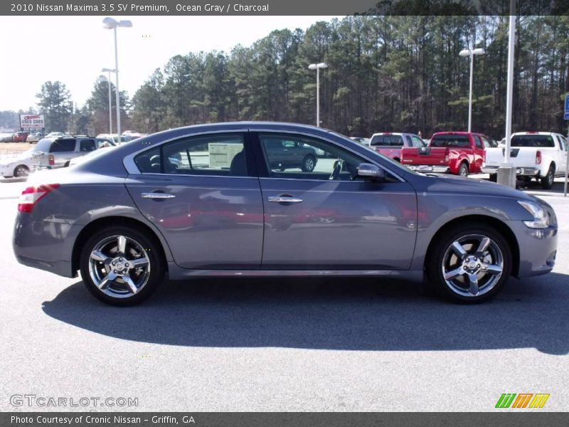 Ocean Gray / Charcoal 2010 Nissan Maxima 3.5 SV Premium