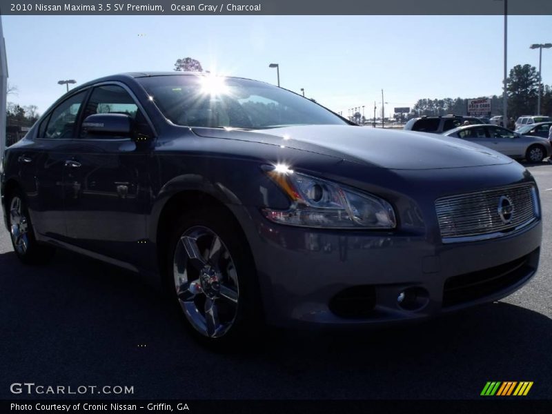 Ocean Gray / Charcoal 2010 Nissan Maxima 3.5 SV Premium