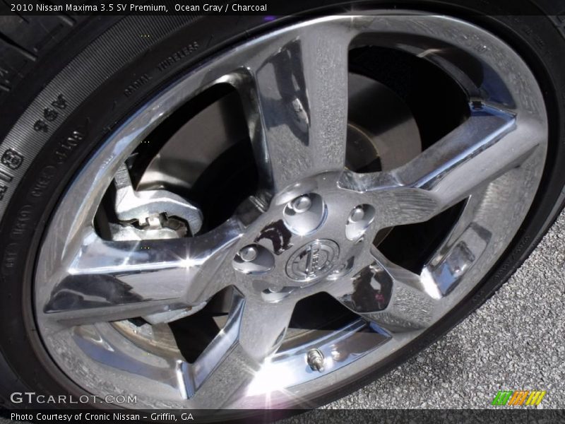 Ocean Gray / Charcoal 2010 Nissan Maxima 3.5 SV Premium