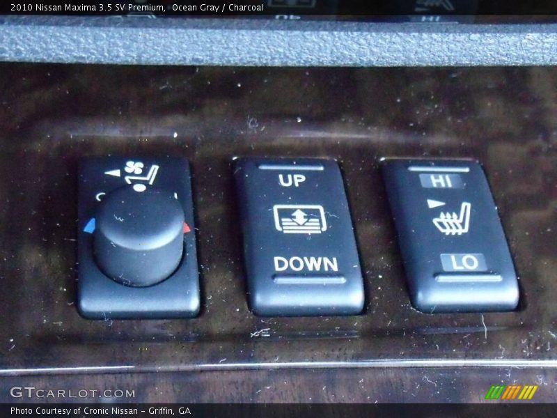 Ocean Gray / Charcoal 2010 Nissan Maxima 3.5 SV Premium