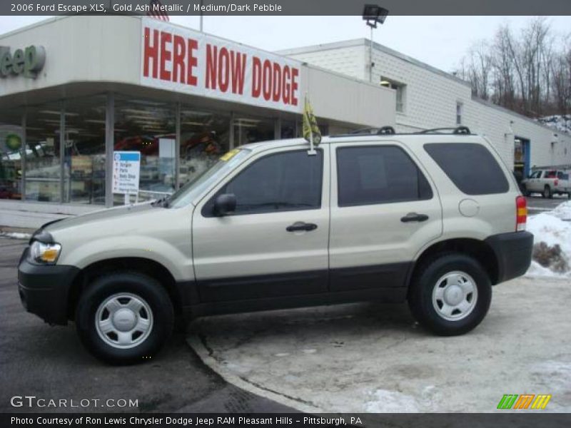 Gold Ash Metallic / Medium/Dark Pebble 2006 Ford Escape XLS
