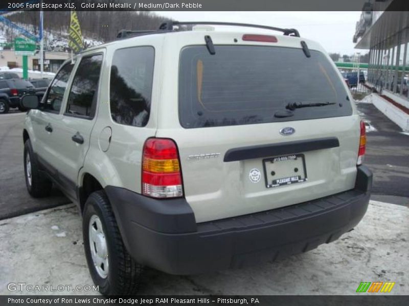Gold Ash Metallic / Medium/Dark Pebble 2006 Ford Escape XLS