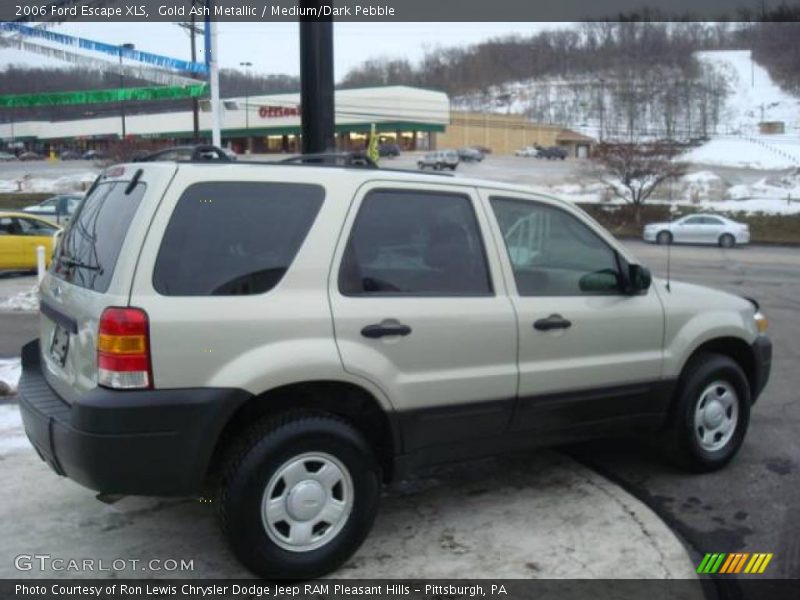Gold Ash Metallic / Medium/Dark Pebble 2006 Ford Escape XLS