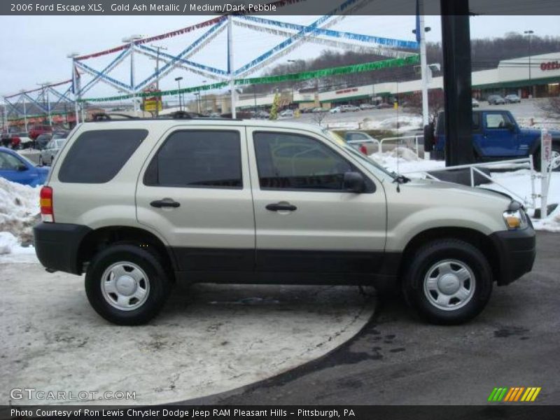 Gold Ash Metallic / Medium/Dark Pebble 2006 Ford Escape XLS