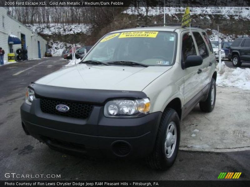 Gold Ash Metallic / Medium/Dark Pebble 2006 Ford Escape XLS