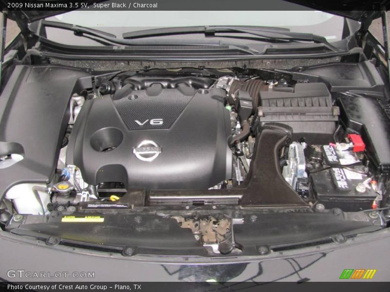 Super Black / Charcoal 2009 Nissan Maxima 3.5 SV