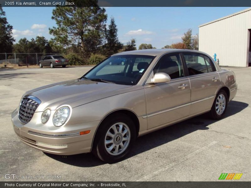Cream Gold / Black 2005 Kia Amanti