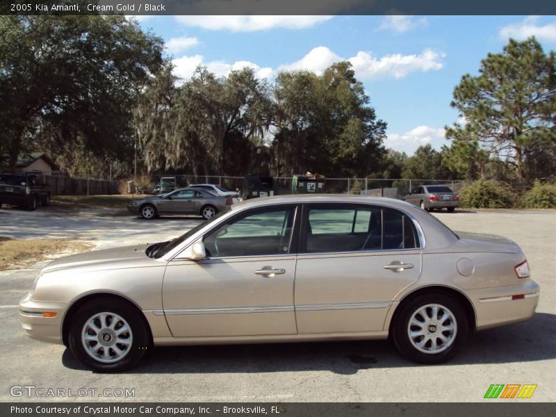 Cream Gold / Black 2005 Kia Amanti