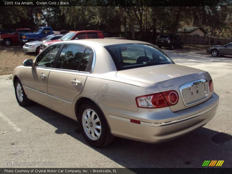 Cream Gold / Black 2005 Kia Amanti