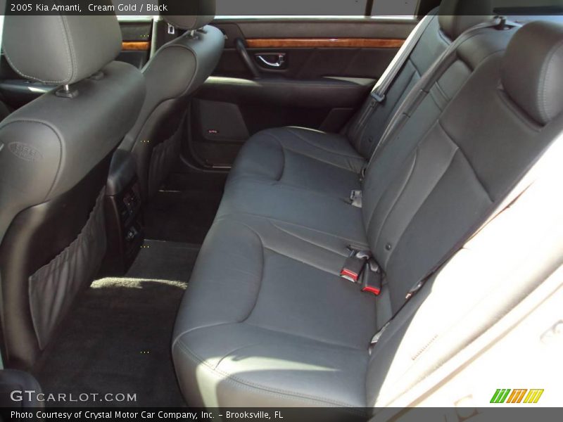 Cream Gold / Black 2005 Kia Amanti