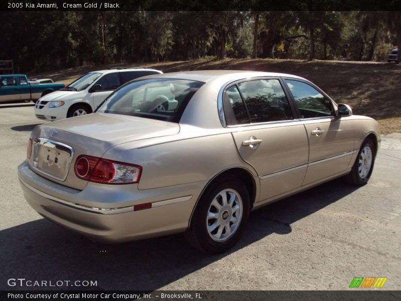 Cream Gold / Black 2005 Kia Amanti