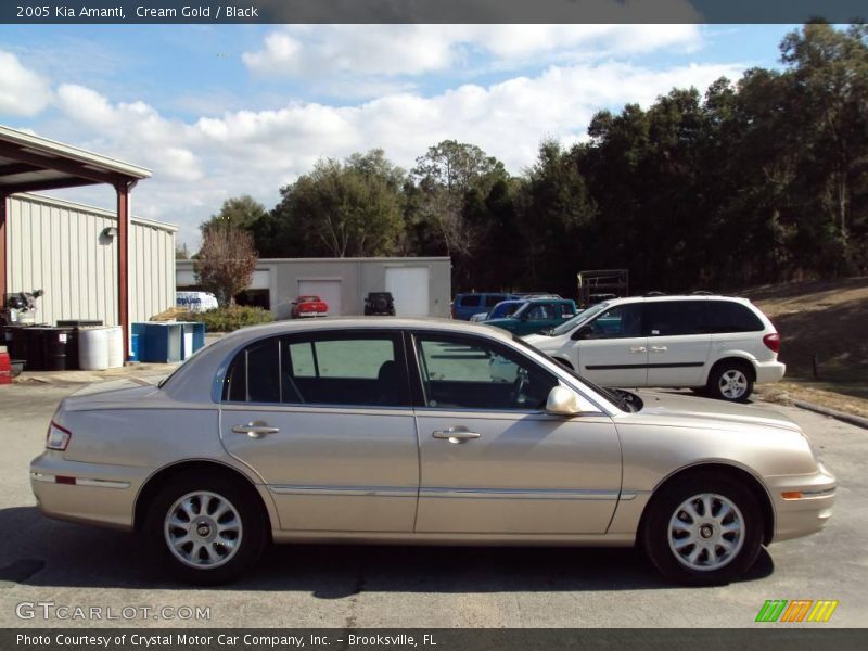 Cream Gold / Black 2005 Kia Amanti