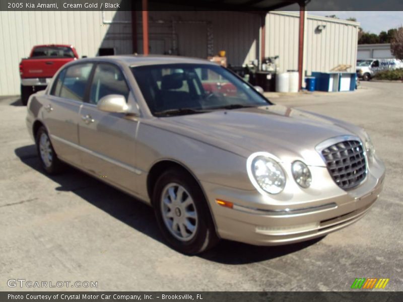 Cream Gold / Black 2005 Kia Amanti