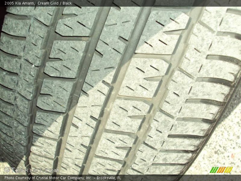 Cream Gold / Black 2005 Kia Amanti