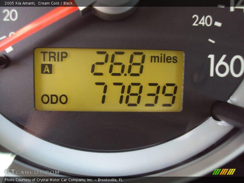 Cream Gold / Black 2005 Kia Amanti
