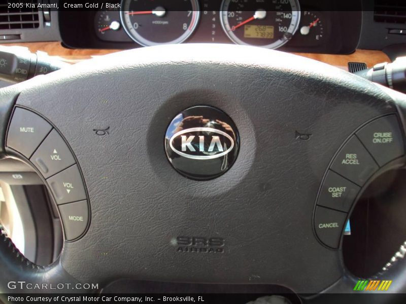 Cream Gold / Black 2005 Kia Amanti