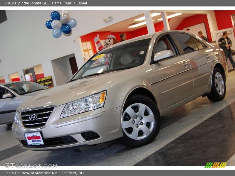 Camel Pearl / Camel 2009 Hyundai Sonata GLS