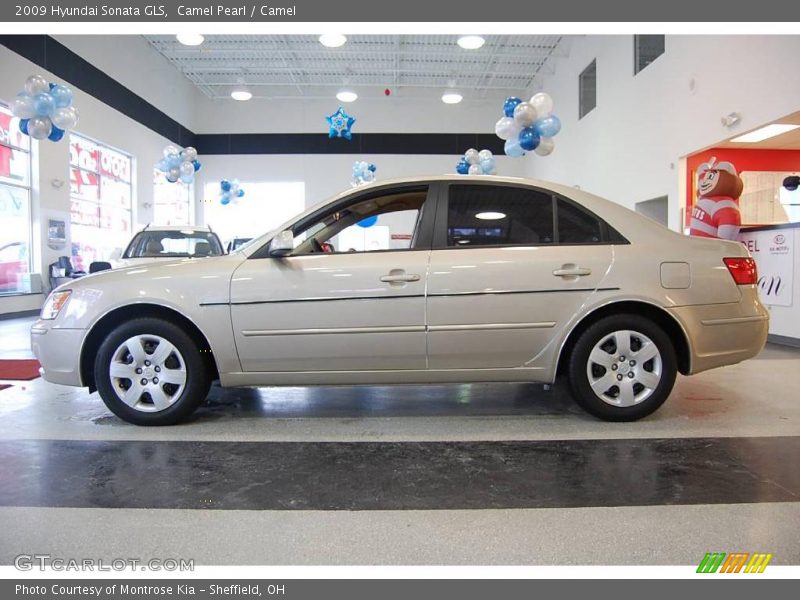 Camel Pearl / Camel 2009 Hyundai Sonata GLS