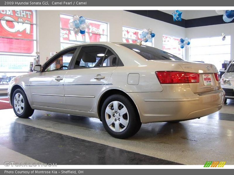 Camel Pearl / Camel 2009 Hyundai Sonata GLS