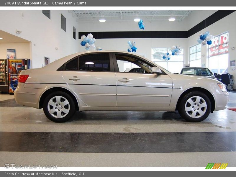 Camel Pearl / Camel 2009 Hyundai Sonata GLS