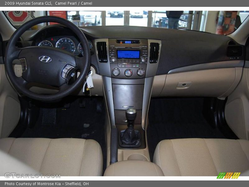 Camel Pearl / Camel 2009 Hyundai Sonata GLS