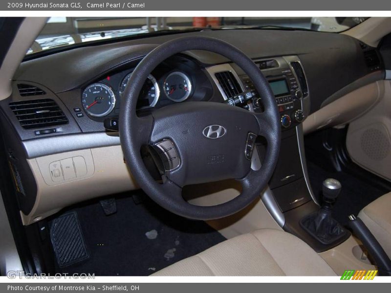 Camel Pearl / Camel 2009 Hyundai Sonata GLS