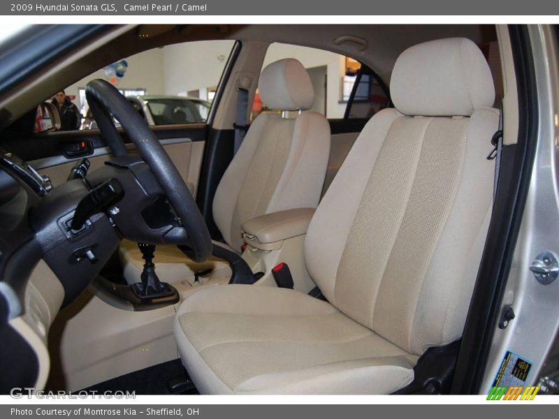Camel Pearl / Camel 2009 Hyundai Sonata GLS