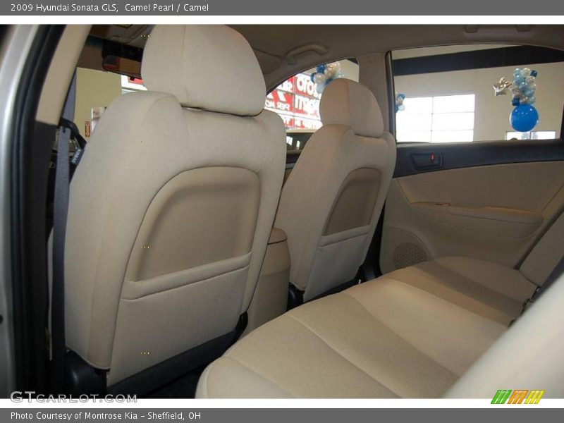 Camel Pearl / Camel 2009 Hyundai Sonata GLS